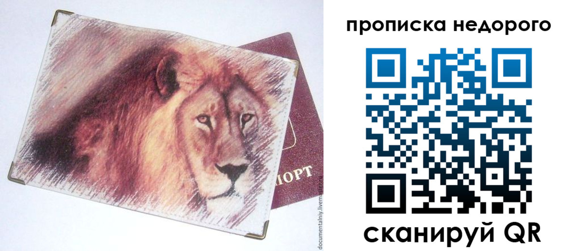 прописка регистрация в Кургане